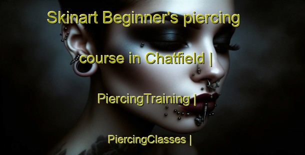 Skinart Beginner's piercing course in Chatfield | PiercingTraining | PiercingClasses | SkinartTraining-Canada